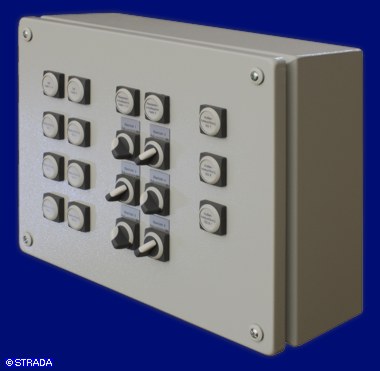 Bedientableau, Steuertableau, Schalttafel und Steuertafel Frontplatte Stahlblech - Steuertableau im AP-Geh�use IP65